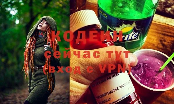 соль ск Вяземский