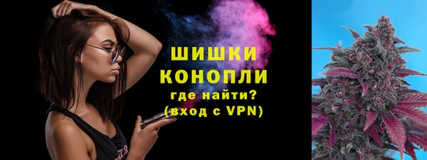 соль ск Вяземский