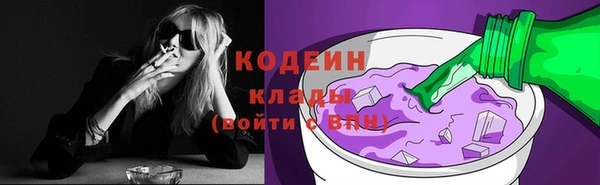 соль ск Вяземский